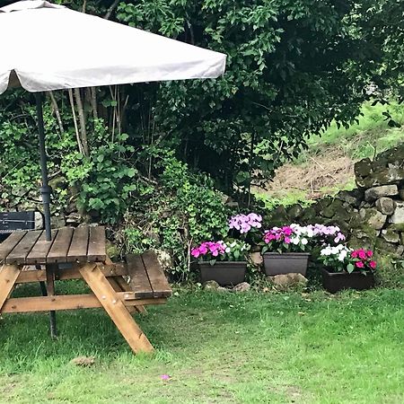 Apartamentos Los Tojos Colsa Dış mekan fotoğraf
